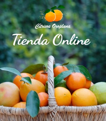 tienda online naranjas castellon