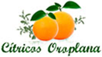 citricos-oroplana-naranjas-de-castellon